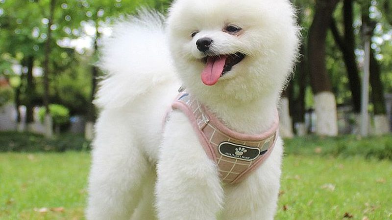 广东冷却塔直销厂家名录